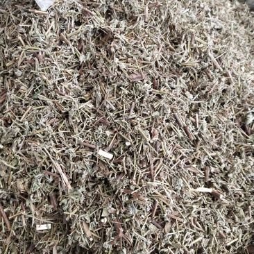 香薷草一斤起售，量大优惠
