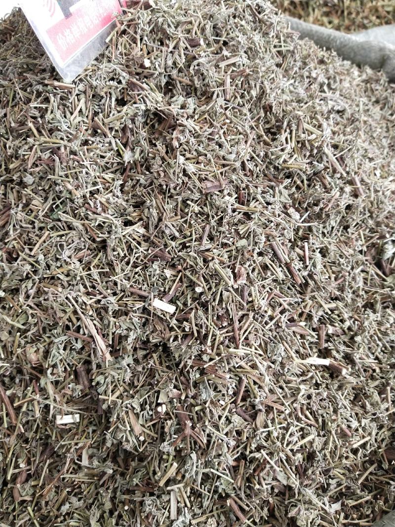 香薷草一斤起售，量大优惠