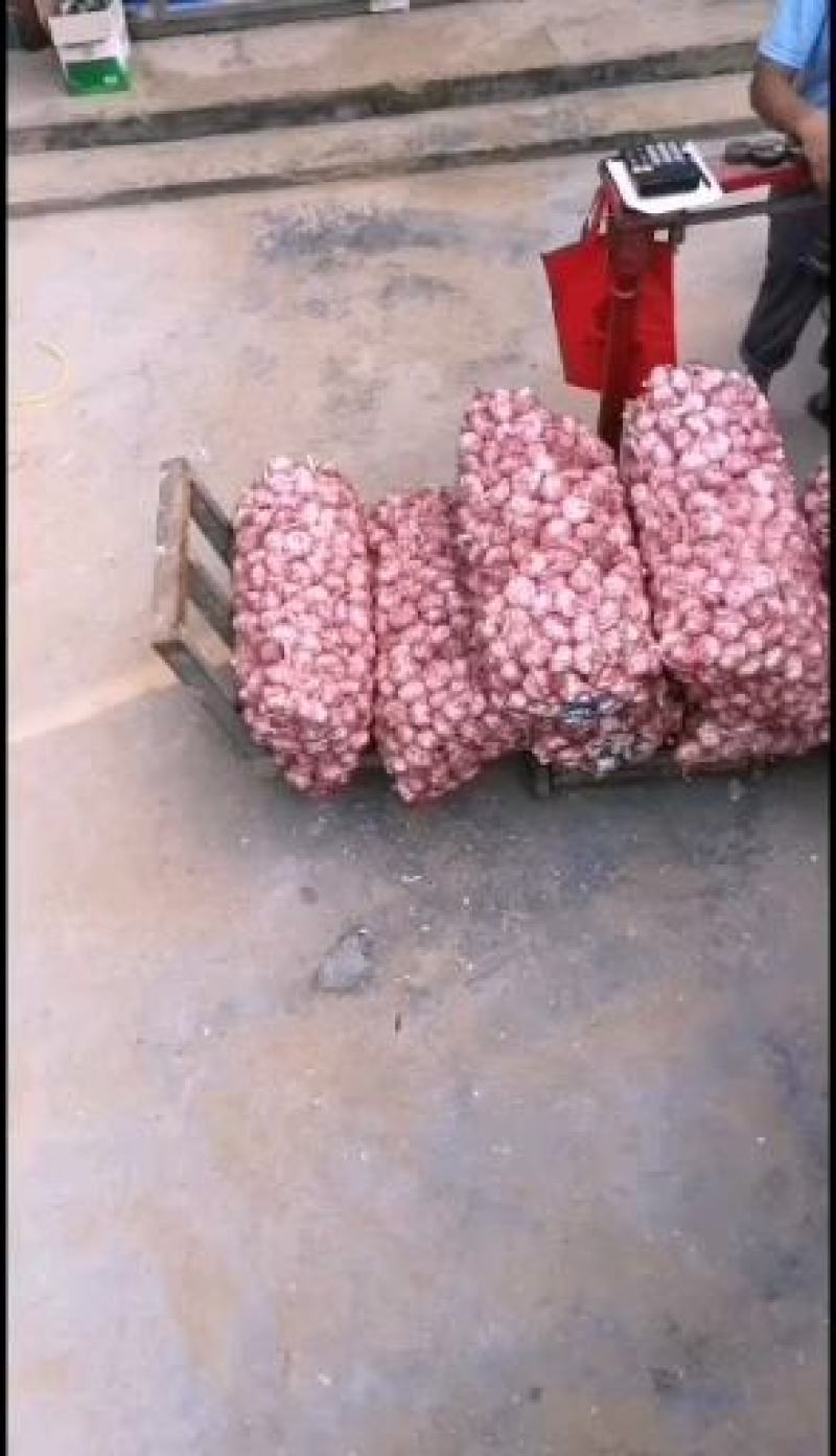 大蒜、2、2、2、2、2、2、2、2、2、2、2、2、2