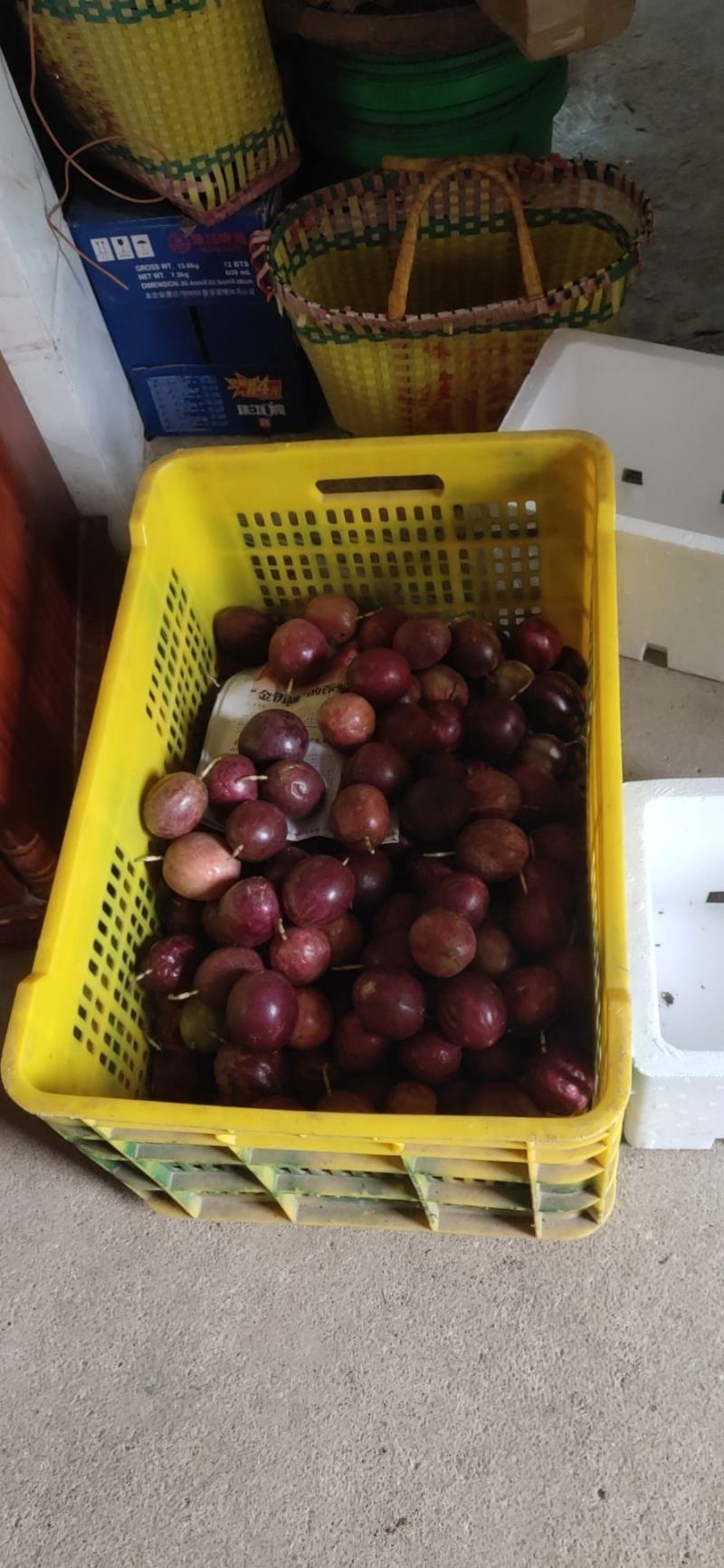 平南县今天农业发展有限公司百香果