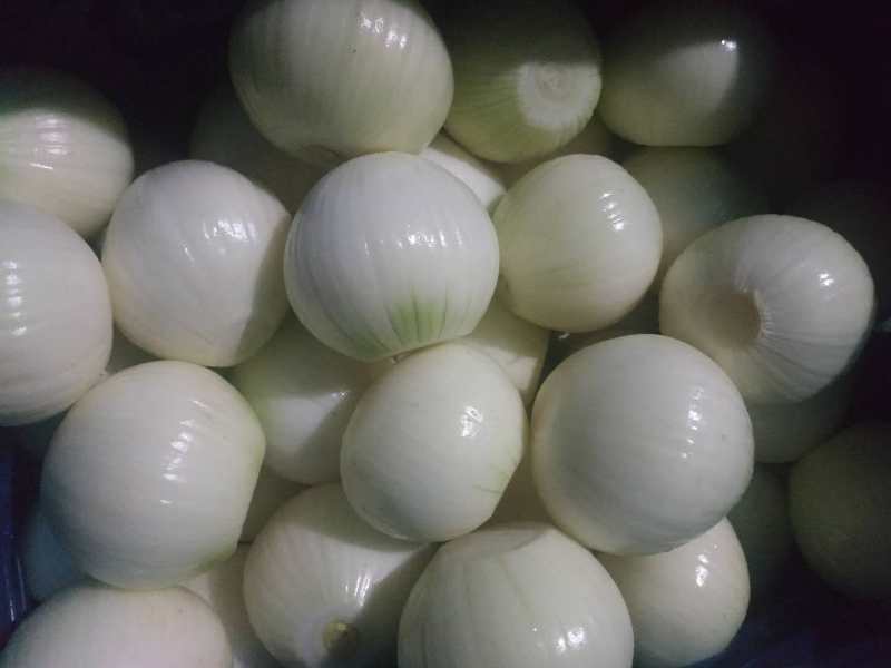 黄洋葱，净菜供应，洋葱出口级，洋葱