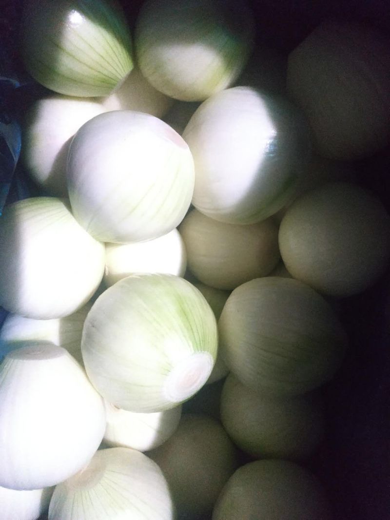 黄洋葱，净菜供应，洋葱出口级，洋葱