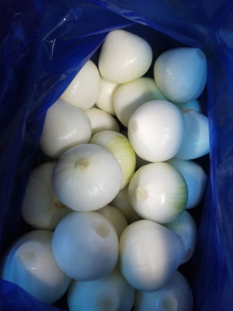 黄洋葱，净菜供应，洋葱出口级，洋葱