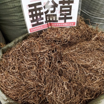垂盆草~水洗垂盆草~。。