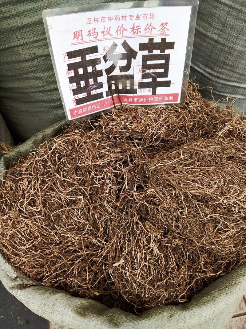 垂盆草~水洗垂盆草~。。