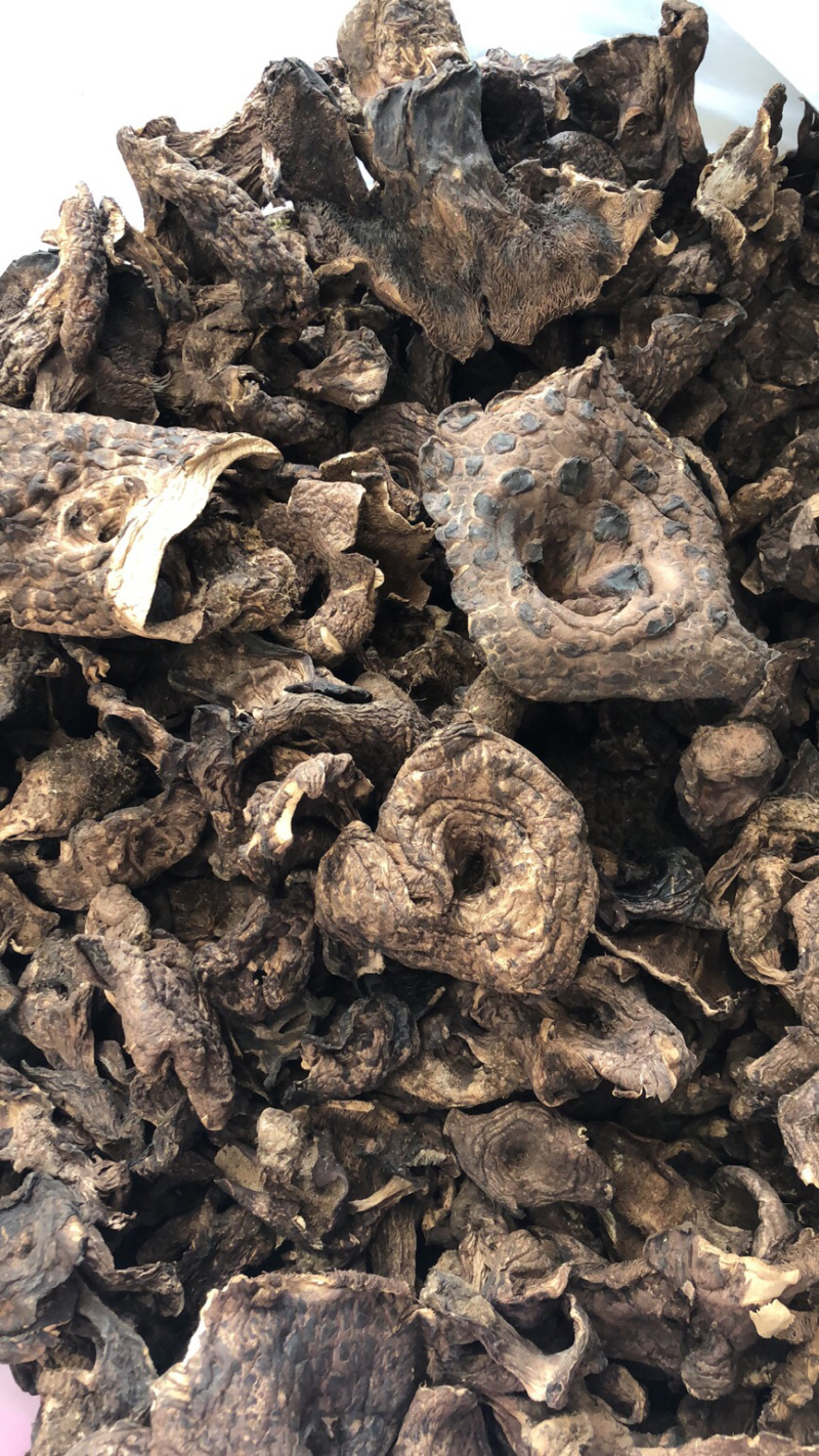 食用菌干货黑虎掌菌熊耳菌云南食用菌批发
