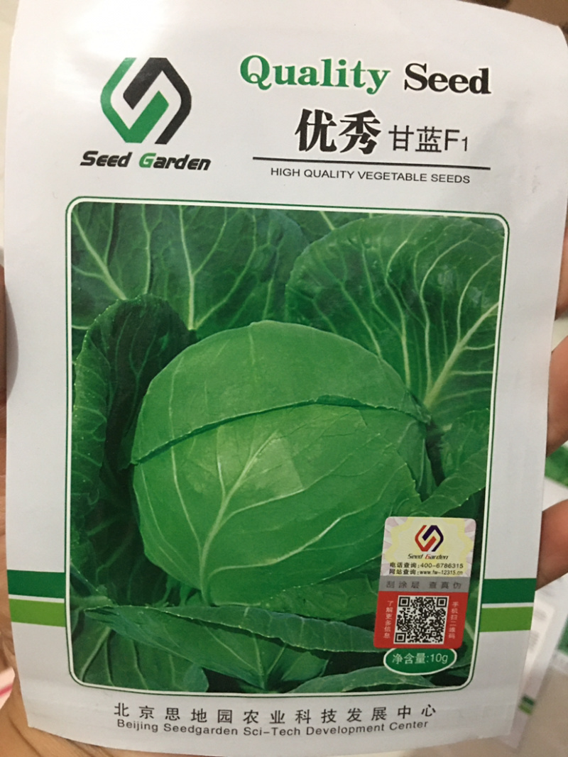 特价处理春秋甘蓝种子，**，916，品翠等甘蓝种子