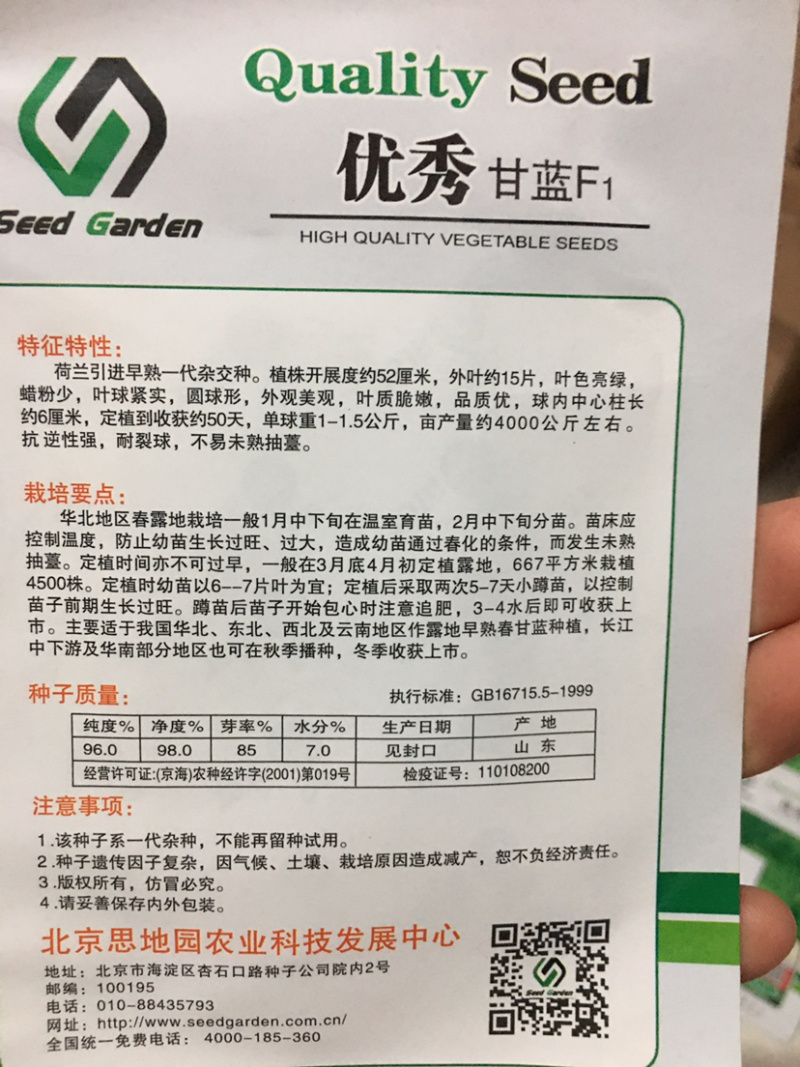 特价处理春秋甘蓝种子，**，916，品翠等甘蓝种子