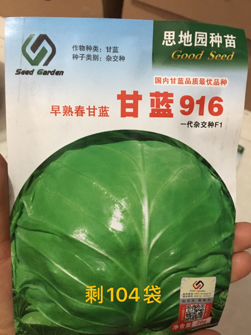 特价处理春秋甘蓝种子，**，916，品翠等甘蓝种子