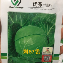 特价处理春秋甘蓝种子，优秀，916，品翠等甘蓝种子