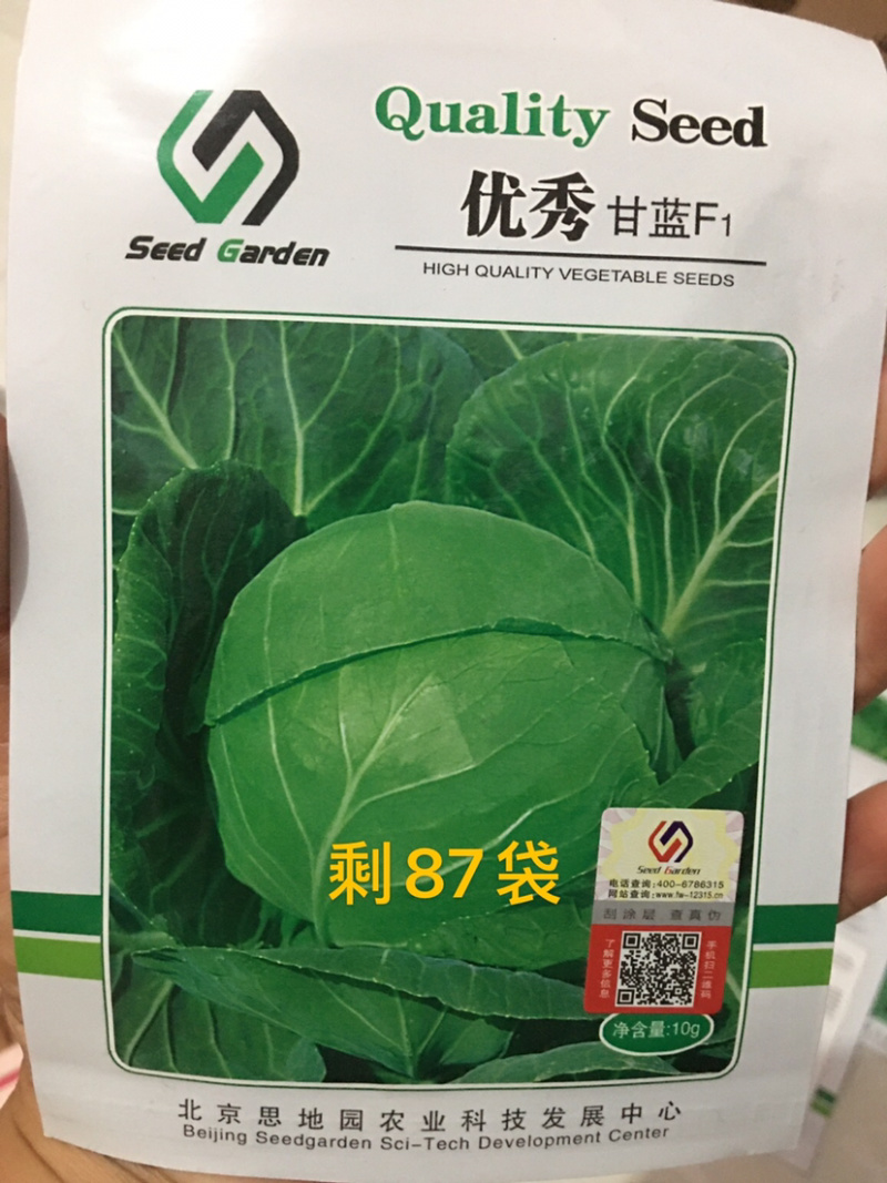 特价处理春秋甘蓝种子，**，916，品翠等甘蓝种子