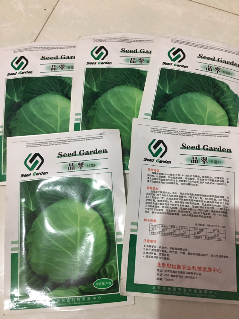 特价处理春秋甘蓝种子，**，916，品翠等甘蓝种子
