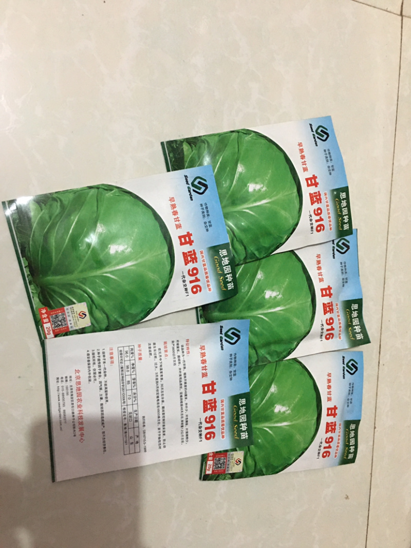特价处理916甘蓝种子
