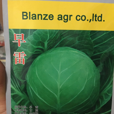 特价处理，早雷，916等甘蓝种子春秋品种
