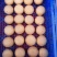 褐菇正品牛排菇未开伞新鲜厂家直接发货品质有保障