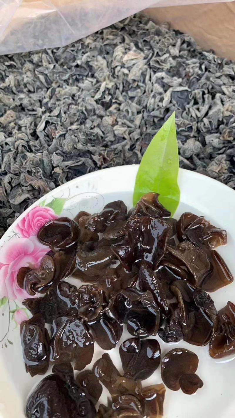 东北小木耳黑木耳秋耳地摊木耳卖相好