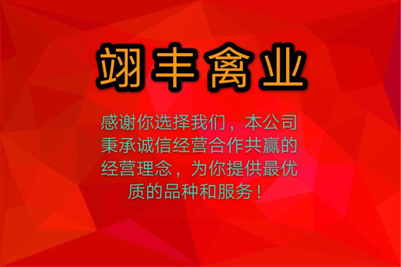 云南鸭苗-麻鸭苗，出栏快，养殖周期短，已做好疫苗！