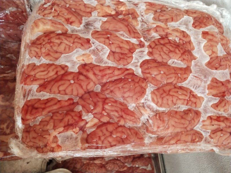 新鲜猪脑，保质保量，欢迎定购