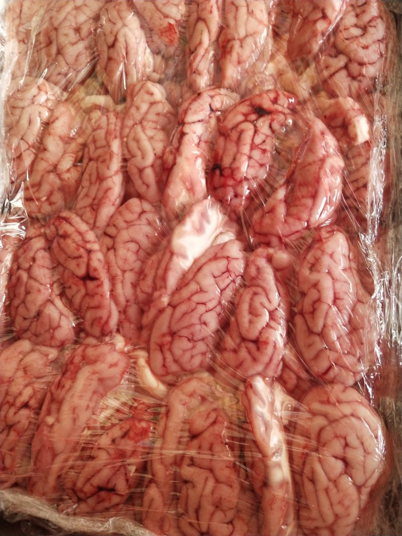 新鲜猪脑，保质保量，欢迎定购
