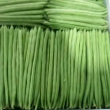 我们永德的精品小金豆
