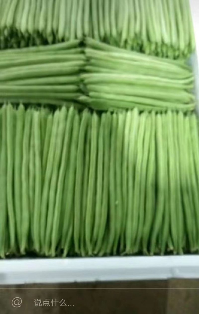 我们永德的精品小金豆