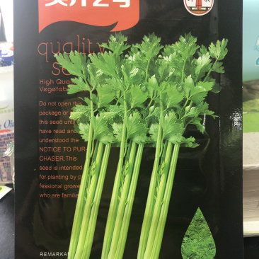（精选）环农小香芹种子西芹种子速生芽率高