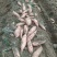 龙薯九号，沙地货，皮色光亮，不沾土，无虫眼，特别甜