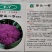 紫花菜种子紫晶一号花椰菜口感好耐储运产量高