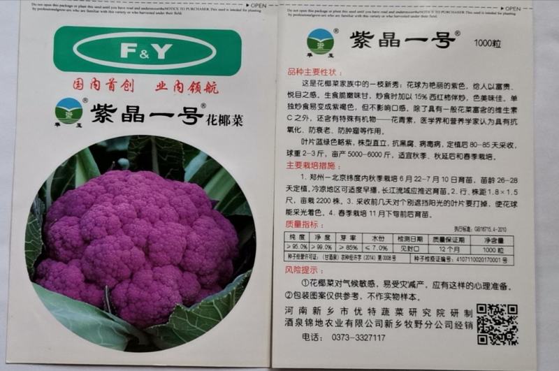 紫花菜种子紫晶一号花椰菜口感好耐储运产量高