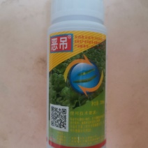 秀田恶吊白菜瓜果甘蓝吊丝虫瓜绢螟小菜蛾杀虫剂