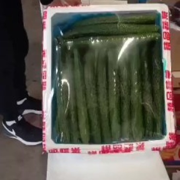 黄瓜黄瓜黄瓜黄瓜黄瓜