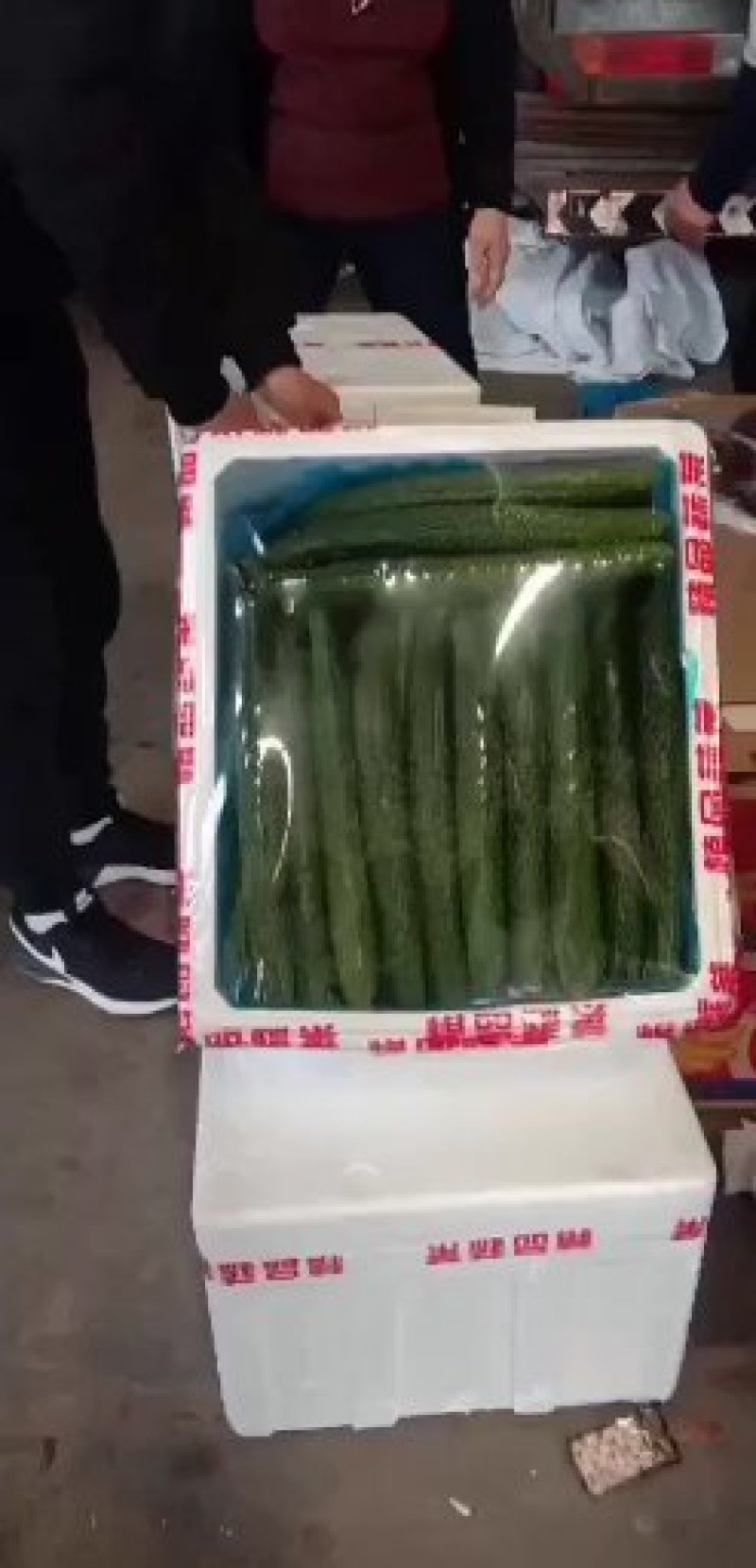黄瓜黄瓜黄瓜黄瓜黄瓜