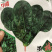 （推荐）耐热耐抽苔墨渌厚实菠菜种子墨禧