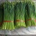 山东韭菜苔大量上市保质保量欢迎选购货源充足
