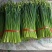 山东韭菜苔大量上市保质保量欢迎选购货源充足