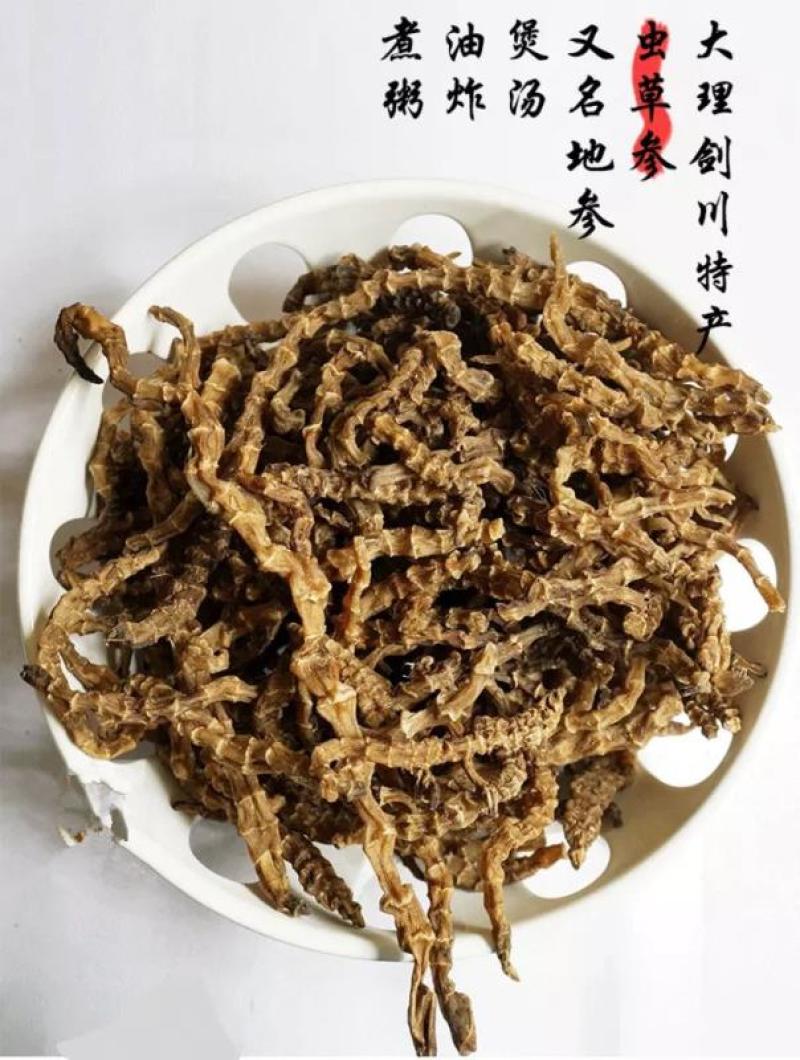 虫草参，可煲汤，做菜