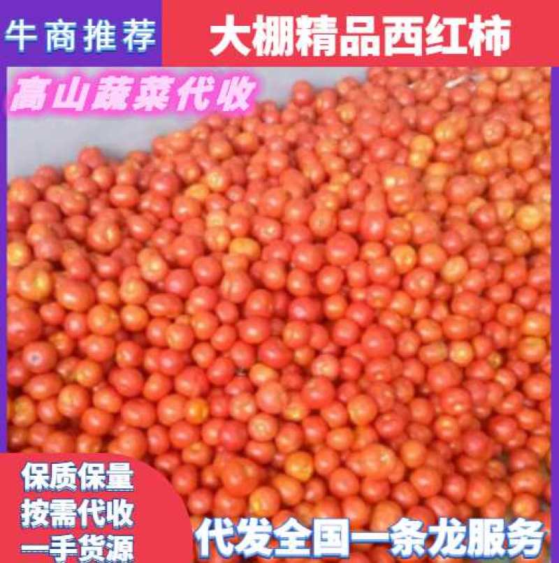 【商超品质】西红柿，弧二以上，千亩基地，货源充足