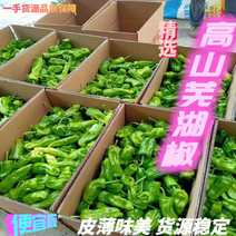 【牛商推荐】青椒，长阳高山芜湖椒，皮薄味美，货源稳定