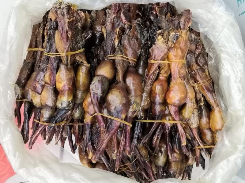 各种鞭狗鞭狗肾黑狗鞭35厘米左右各种规格欢迎进店