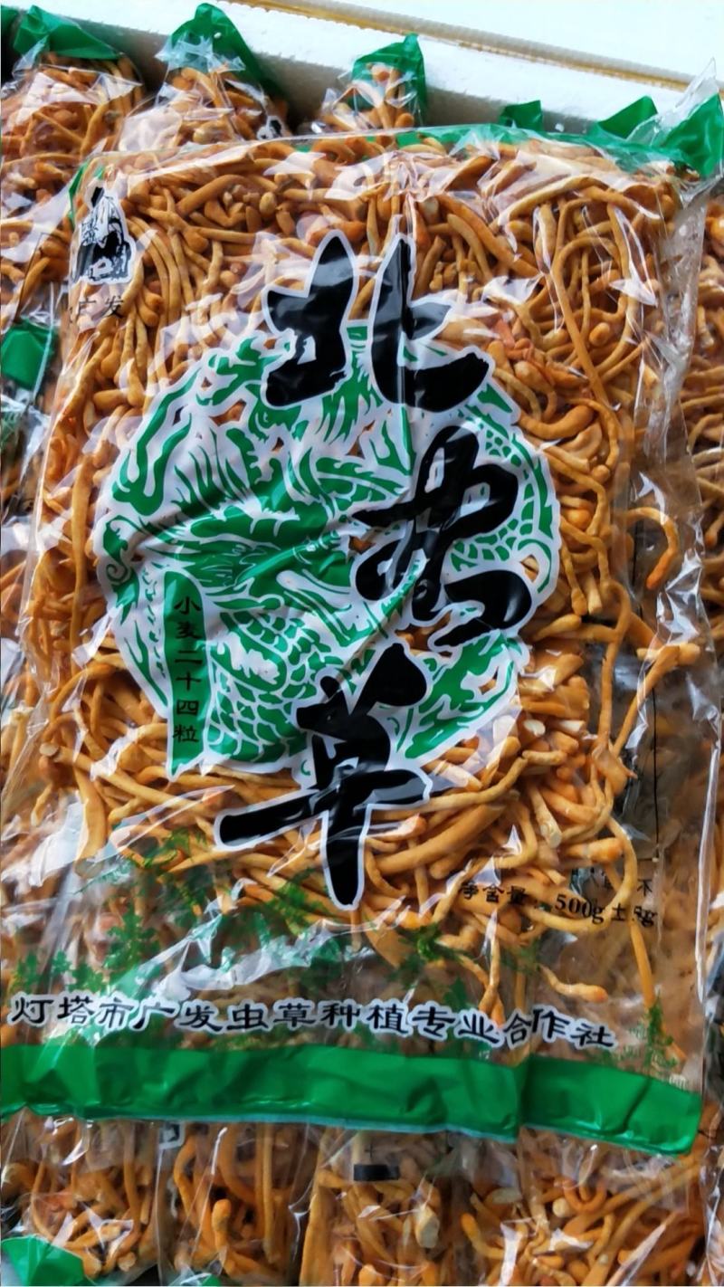 优质新鲜北虫草非干货特产好货酒店好货