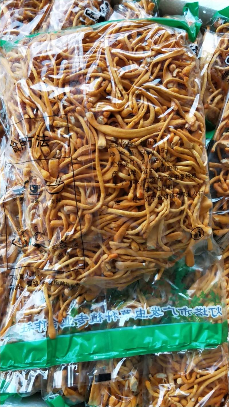 优质新鲜北虫草非干货特产好货酒店好货