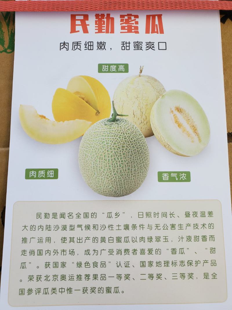 民勤〈哈密瓜〉〈金红宝〉〈银帝〉蜜瓜