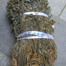 岩黄莲【包邮】三斤起发货可批量可零售量大从优