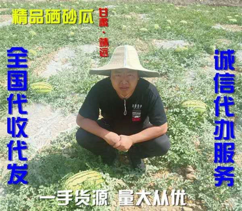 【火爆】产地直销花型好，甜度高，基地直供，实力代办