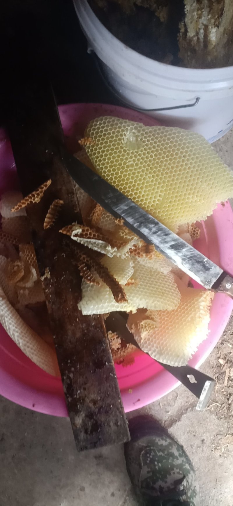 自家蜂蜜，没有任何做假。