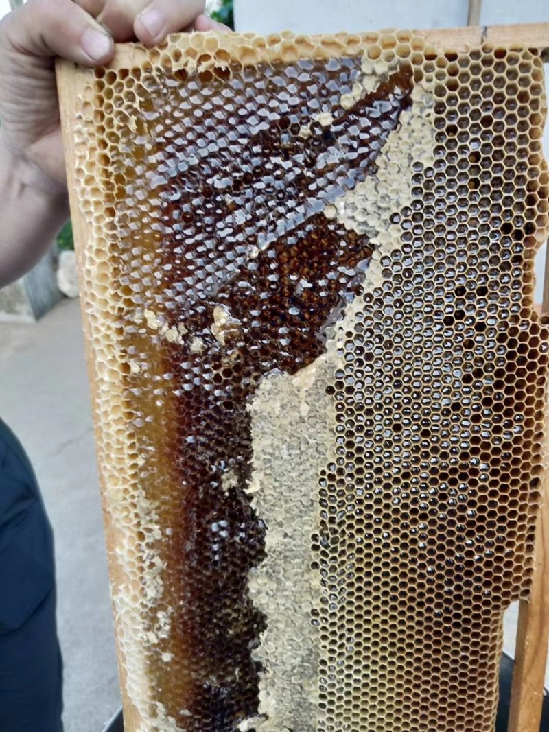 自家蜂蜜，没有任何做假。