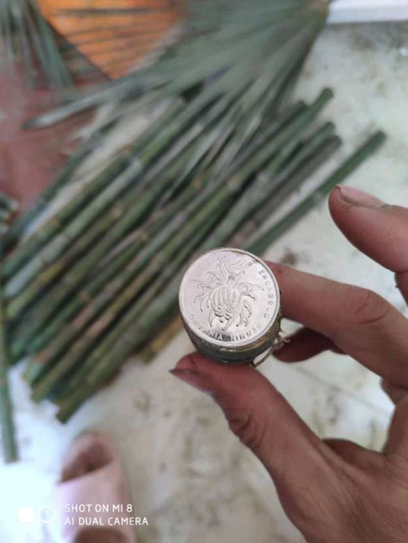 大量实心竹各种规格都有产地直发一手货源老料