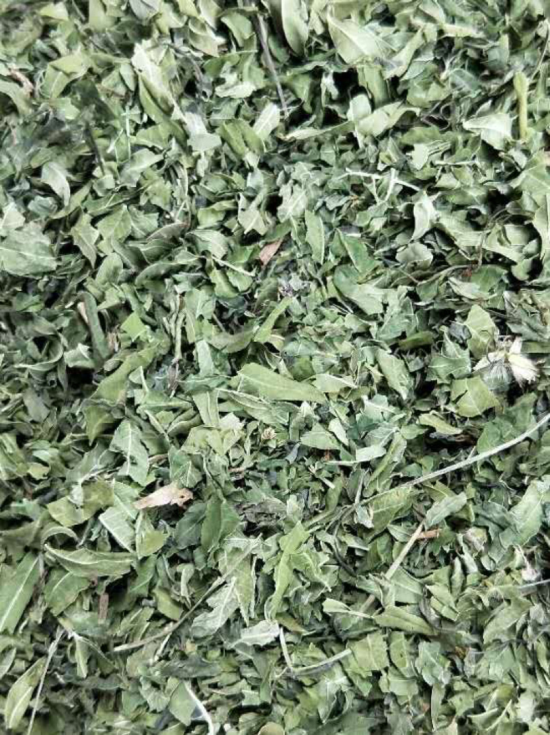 罗布麻【包邮】三斤起发货可批量可零售量大从优