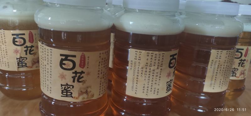 野生原始百花蜜土蜂蜜，野生蜜