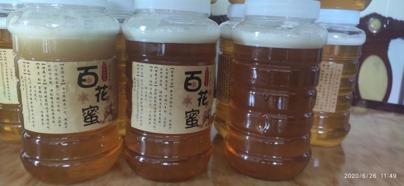 野生原始百花蜜土蜂蜜，野生蜜